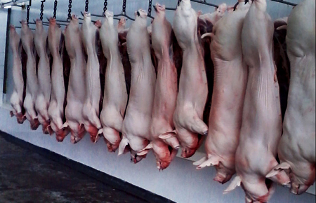 Restricciones Ambientales Reducirán la Producción de Carne de Cerdo en China