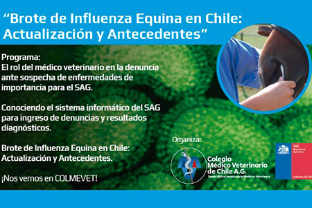 Actualización sobre Influenza Equina en COLMEVET