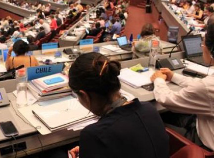 Chile Asume la Presidencia de la Coordinación del Comité Del Codex para América Latina y El Caribe