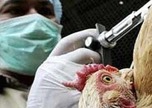 Colegio Veterinario se reúne con Asociaciones de Especialistas