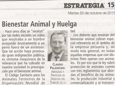 Bienestar Animal y Huelga