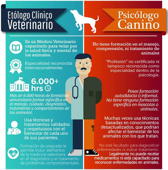 ¿A quién recurrir si necesitas ayuda con el comportamiento de tu perro?