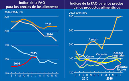 Caída del Índice de Precios de los Alimentos de la FAO en Julio