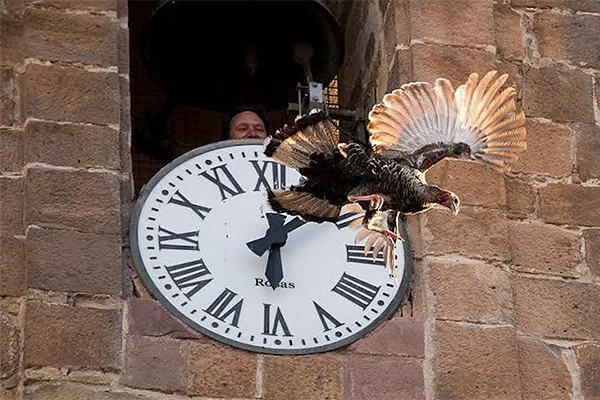 ¿Lanzar un Pavo desde un Campanario es Maltrato Animal?