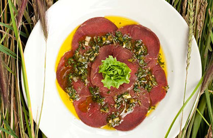 “La Carne del Guanaco se va casi toda a Exportación”, dice Seremi de Agricultura frente a Cacería Autorizada por el SAG