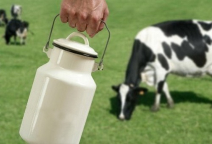 COLMEVET explica alza de precios de la leche: gremio advirtió en abril posible colusión que traería estas consecuencias