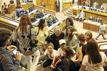 Senado Aprueba Proyecto de Tenencia de Mascotas pese a Críticas de Alcaldes