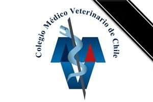 Carta de Condolencias para la Dra. Betty San Martín