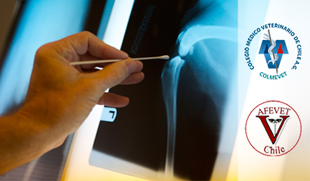 Un Paso Adelante hacia la Certificación de Especialidades Veterinarias