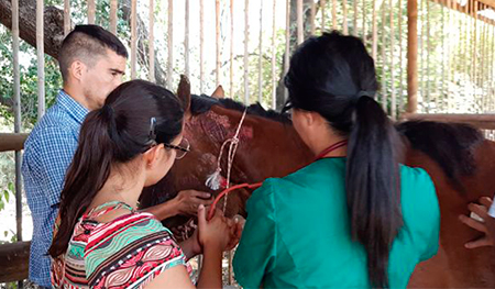 Excelente Nivel de Respuesta frente a la Emergencia