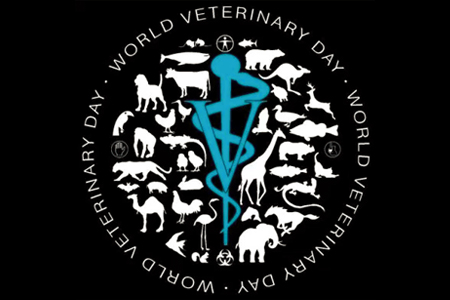 La OIE Prepara Premio para Celebrar el Día Mundial Veterinario