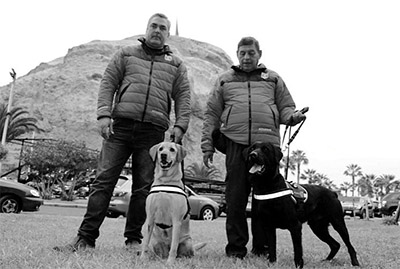 La historia de "Thor" y "Margarita" en Aduanas: de perros vagabundoa a finos detectores de drogas y explosivos