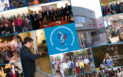 Evaluación de fin de año: Los 10 principales hitos que marcaron el 2019 para Colmevet