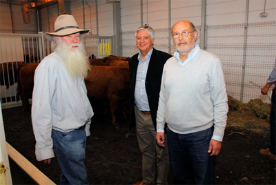 Subsecretario de Agricultura y Director del SAG Supervisan Primera Exportación de Toritos Chilenos a Paraguay
