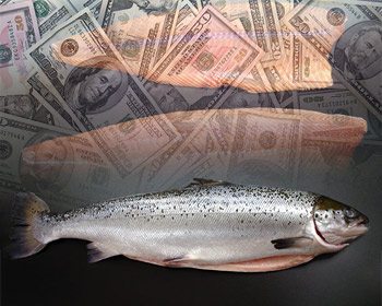 Aquachile, Mitsubishi y Agrosuper Lideran Ranking de Exportadores de Salmón