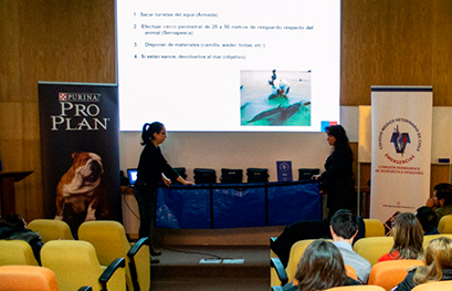 Seminario de Emergencias y Desastres: “Emergentología en Terreno en Emergencias y Desastres”