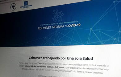 Toda la información médico veterinaria sobre COVID-19 en un mismo sitio
