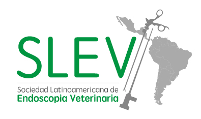 SLEV 2016: Convocatoria Científica ¡Participa!