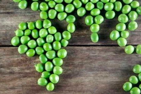 ¿Qué Pasaría si todas las Personas Fueran Veganas?