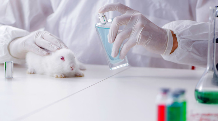 Colegio Médico Veterinario de Chile apoya proyecto de ley que prohíbe testeo de cosméticos en animales
