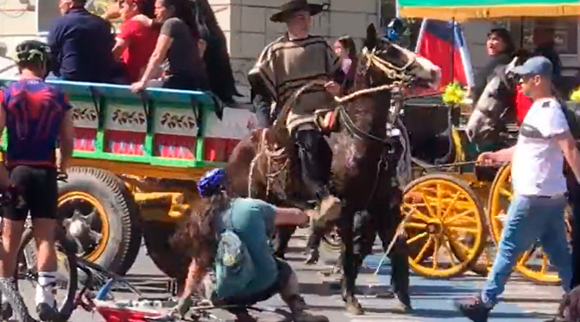 Colmevet rechaza uso de equinos en manifestaciones