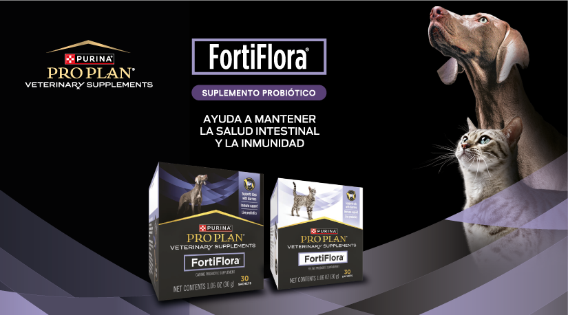 Llega a Chile FortiFlora, el probiótico veterinario más recomendado por especialistas en Estados Unidos y Europa