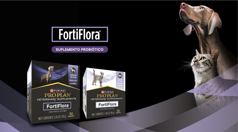 Llega a Chile FortiFlora, el probiótico veterinario más recomendado por especialistas en Estados Unidos y Europa