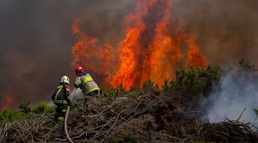 Incendios forestales: Comisión de Respuesta a Desastres de Colmevet activa y apoyando en Ránquil