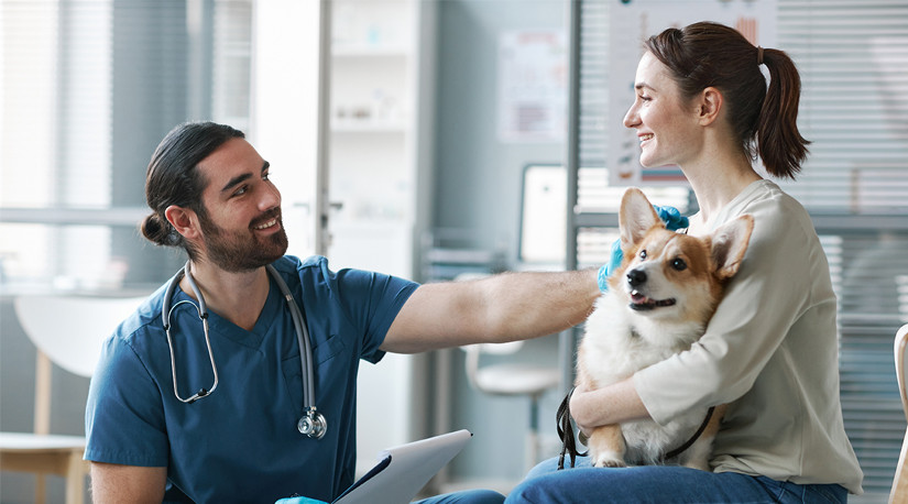 Institute Purina: Seminario web internacional sobre el rol de la nutrición en el manejo de la diabetes en animales de compañía