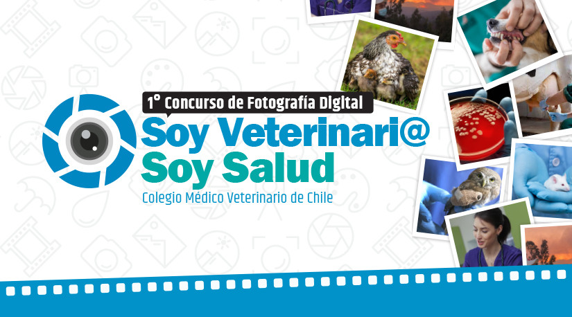 1° Concurso de Fotografía Digital: “Soy Veterinari@, Soy Salud”